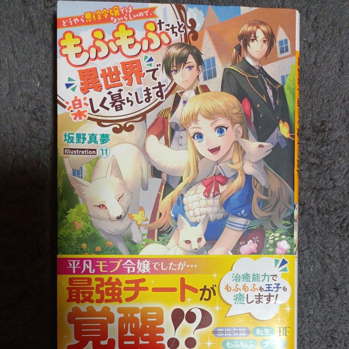 どうやら悪役令嬢ではないらしいので、もふもふたちと異世界で楽しく暮らします （ベリーズファンタジー　Ｗさ２－１－１） 坂野真夢／著