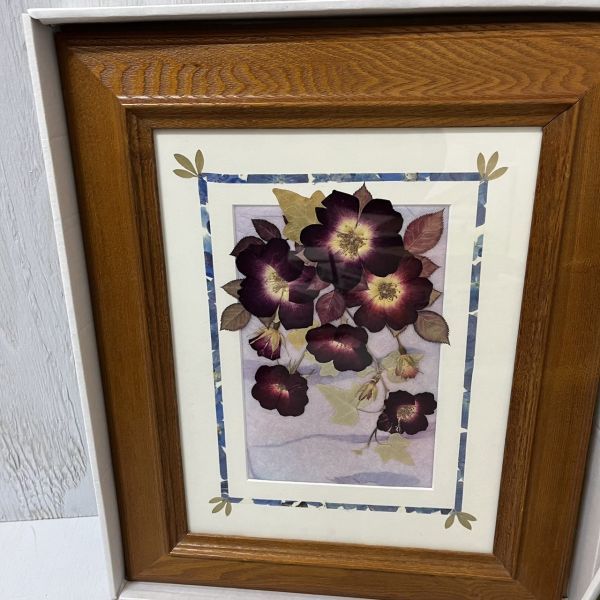  pressed flower amount /.... flower club / green amount / amount / picture frame / pressed flower / box attaching 2 sheets summarize beautiful 