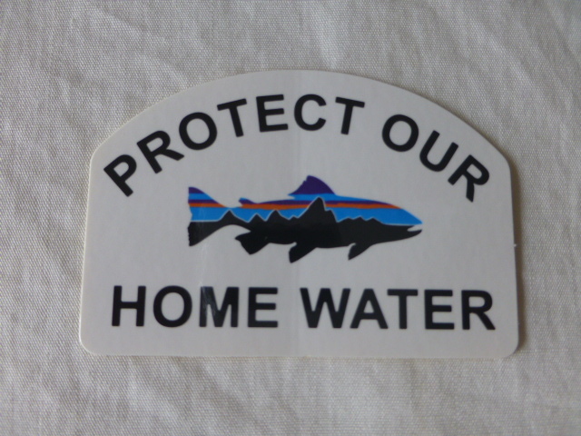 patagonia PROTECT OUR FITZROY TROUT HOME WATER ステッカー Fitzroy Trout フィッツロイ トラウト パタゴニア PATAGONIA patagonia_画像1