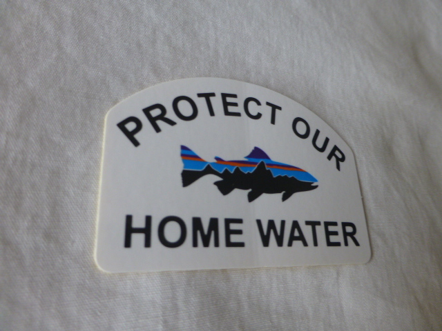 patagonia PROTECT OUR FITZROY TROUT HOME WATER ステッカー Fitzroy Trout フィッツロイ トラウト パタゴニア PATAGONIA patagonia_画像5