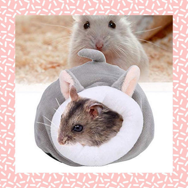  hamster house mouse gray bed small animals cold . measures * anonymity 