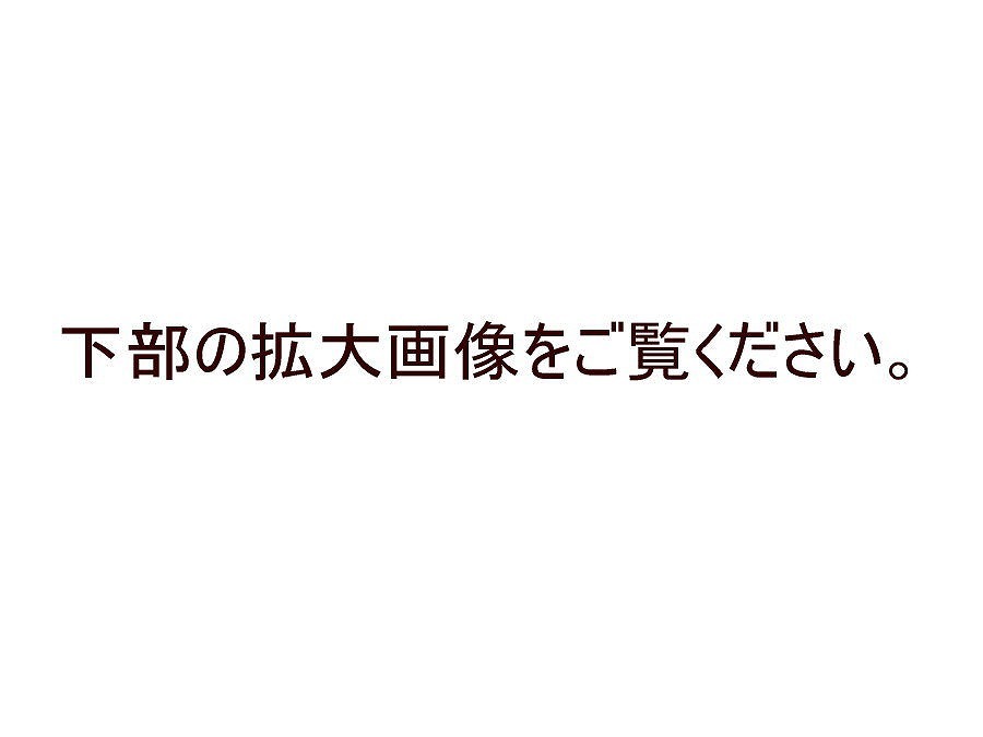 九谷焼　盃　ぐい呑　酒呑（検索）色絵　 南蛮人図　 韃靼人 ダッタン人 徳利　酒器　_画像5