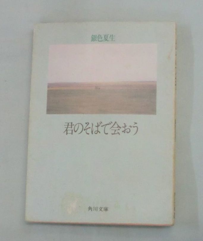 【文庫】君のそばで会おう ◆ 銀色夏生 ◆ 角川文庫 ◆ 銀色夏生写真詩集_画像1