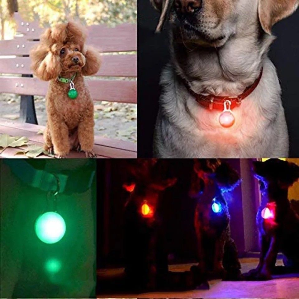 犬 ライト 首輪 リード ペット LED セーフティ 散歩 グリーン