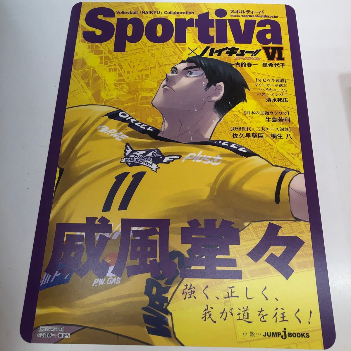 ハイキュー!!ショーセツバン Sportiva アニメイト ビジュアルボード6枚 ハイキュー 小説 ショーセツバン 6 B5ビジュアルボード 牛島若利