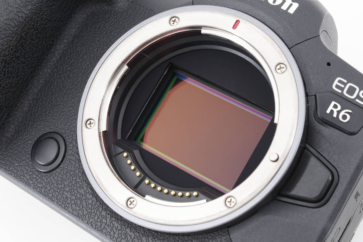 ★極上美品★ Canon キヤノン EOS R6 ミラーレス一眼カメラ フルサイズ ボディ チャージャー付 #2726_画像10
