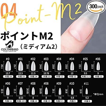 COLORBIRD ネイルチップ 超薄 ショート クリア 300枚 夏 サンディング 自然なフィット感 つけ爪 (ポイントM2_画像2