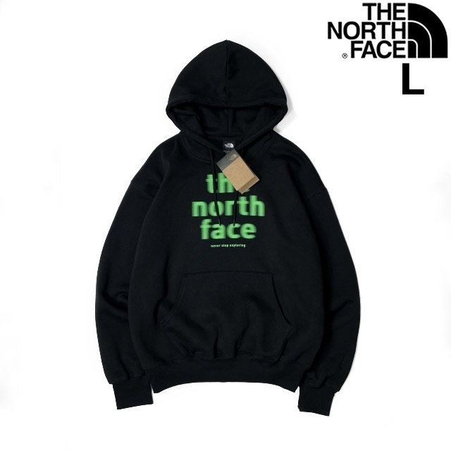 1円～!売切!【正規新品】THE NORTH FACE◆EVOLUTION VINTAGE HOODIE パーカー US限定 2023最新 グラフィック ノイズロゴ(L)黒 181130-30_画像1