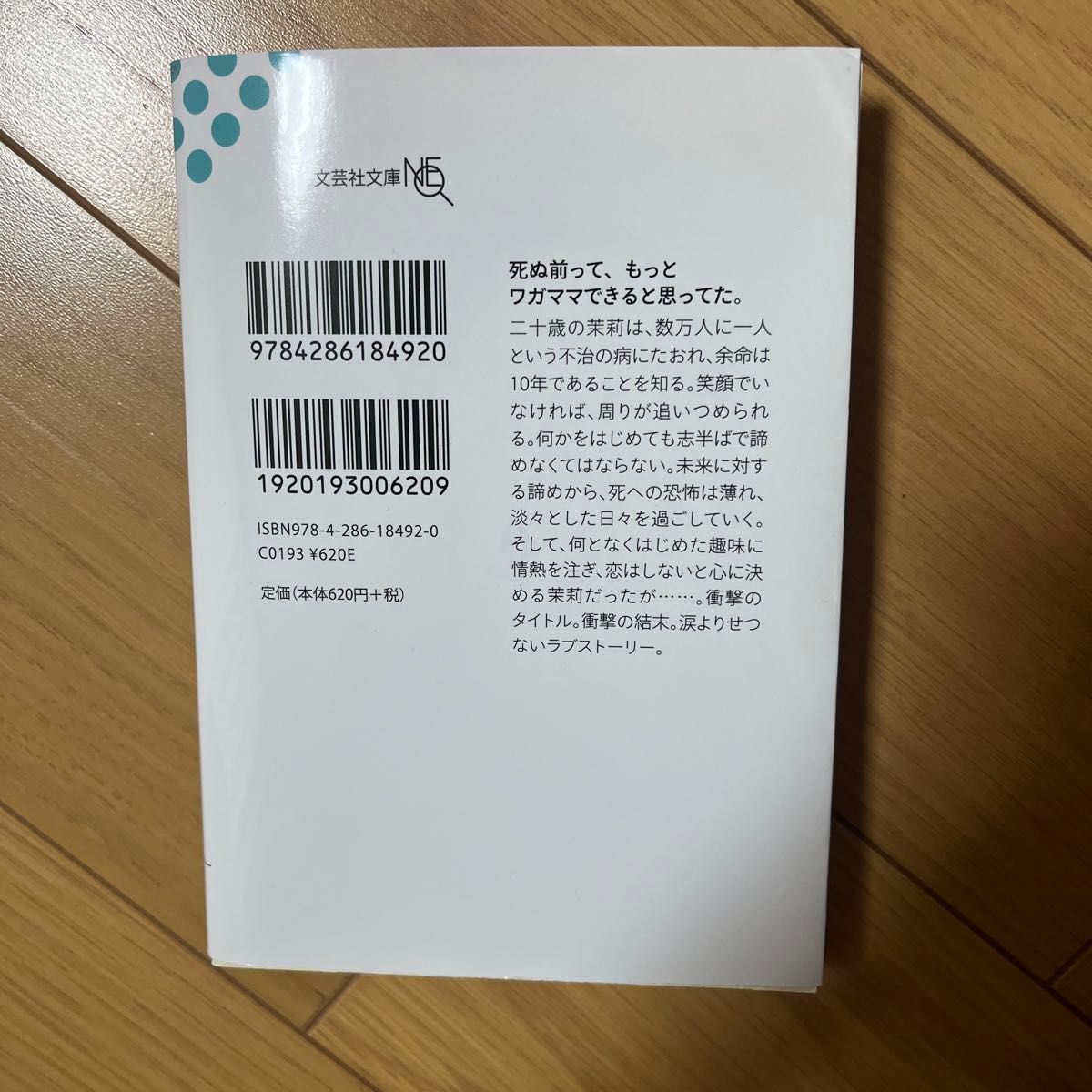 余命１０年 （文芸社文庫ＮＥＯ　こ５－１） 小坂流加／著