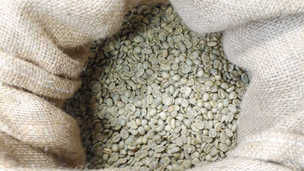 コーヒー生豆100g×8袋(ブラジル,マンデリン,グアテマラ,タンザニア)_画像1