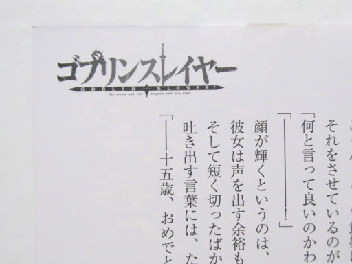 【リーフレット】　GA15th Anniversary ショートストーリーリーフレット　ゴブリンスレイヤー 「十五年目のお祝いの話」 GA文庫/GAノベル_画像2