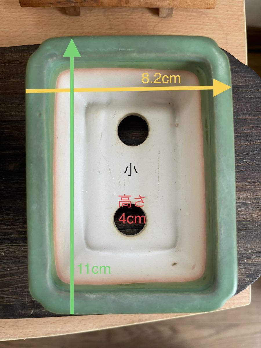【小鉢102】長方　ミニ盆栽　MINI植木　山野草　隅入り　蔵出し　アンティーク_画像4