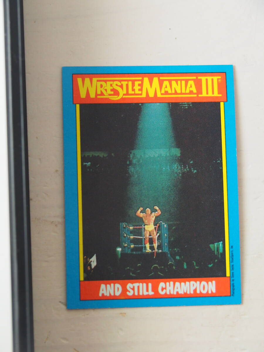 ハルクホーガン・VHS・ビデオ・カード付・WWE WWF WCW NWA 新日本プロレス　アンドレ・ザ・ジャイアント_画像2
