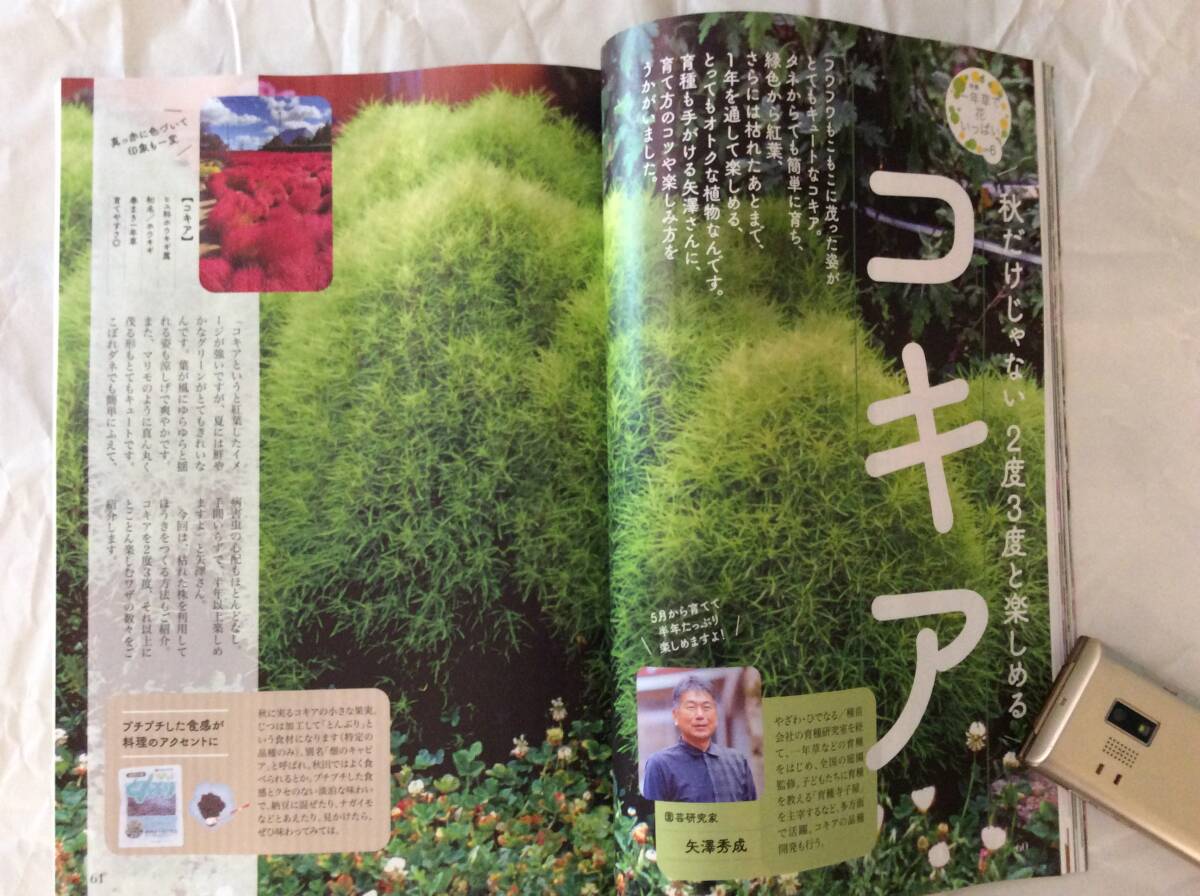 NHKテキスト 趣味の園芸 2024年3月号_画像8
