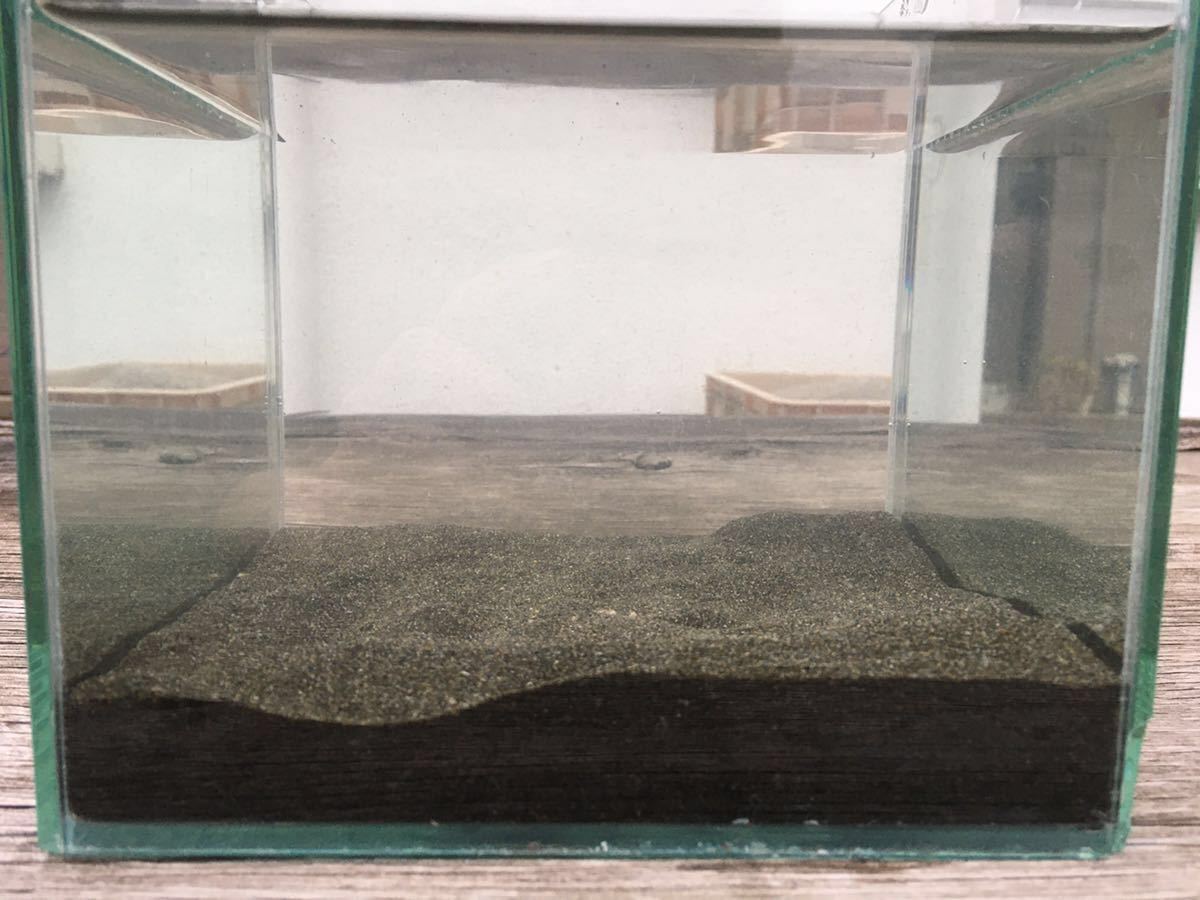 黒砂10キロ☆魚の色が映える黒く細かく重い砂☆1リットル1.6Kg高比重☆タナゴ コリドラス ドジョウ メダカ 金魚 二枚貝 熱帯魚 水草 川魚の画像10