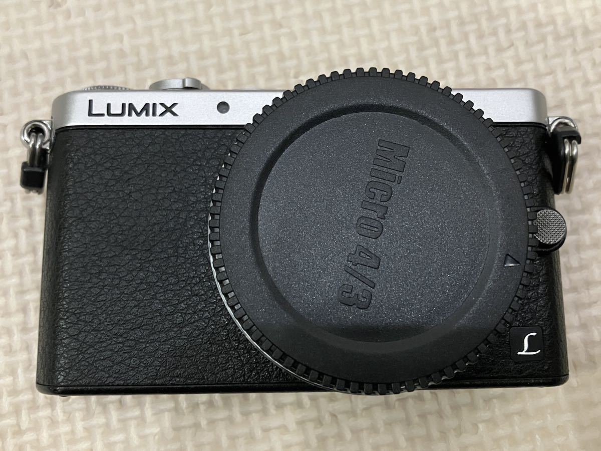 Panasonic LUMIX DMC-GM1_画像2
