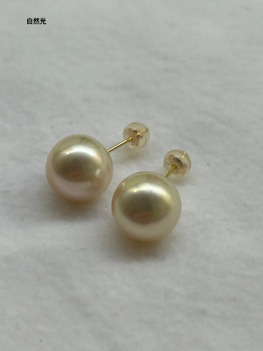 真珠 南洋 白蝶 パール K18 ピアス 11.0㎜UP シャンパン カラー South Sea Pearls