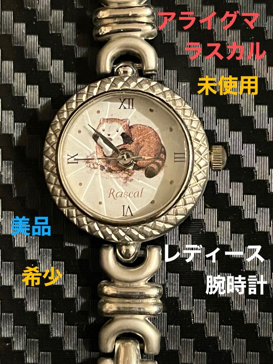 アライグマラスカル　レディース腕時計、未使用品、美品