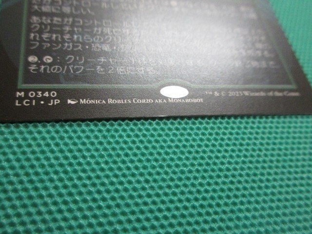 『MTG』　LCI-0340　M　髑髏胞子の結節点　日本語版　拡張アート　②_画像3