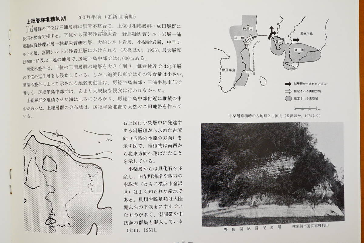  три . половина остров. .... Yokosuka город музей образование материалы серии 1987 год осмотр : Kanagawa префектура три . половина остров земля форма земля качество география окаменелость земля слой старый Tokyo река 