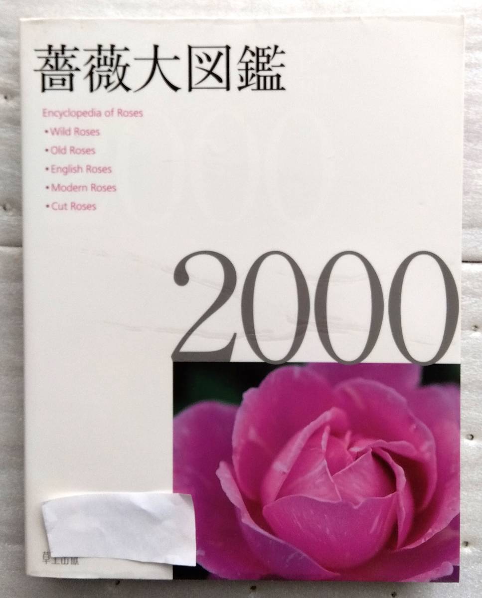  rose large illustrated reference book 2000 Oono . post-natal wistaria ...