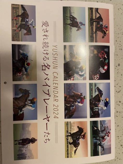 非売品　トールポピー　tallpoppy ジャケット　ブルゾン オークス　阪神ジュベナイルフィリーズ　JRA G1 競馬_画像4