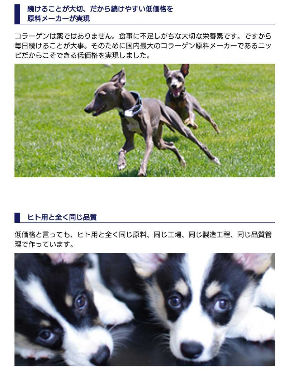 あしたも走ろっ。 160g×2袋 犬用 子犬 シニア犬 健康補助食品 サプリメント コラーゲン 新品未開封 健康維持 の画像7