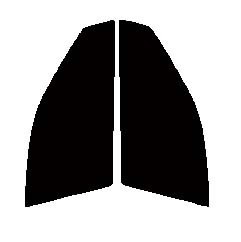 ライトスモーク　５０％　運転席、助手席　クラウン　セダン　S18#　カット済みフィルム_画像1