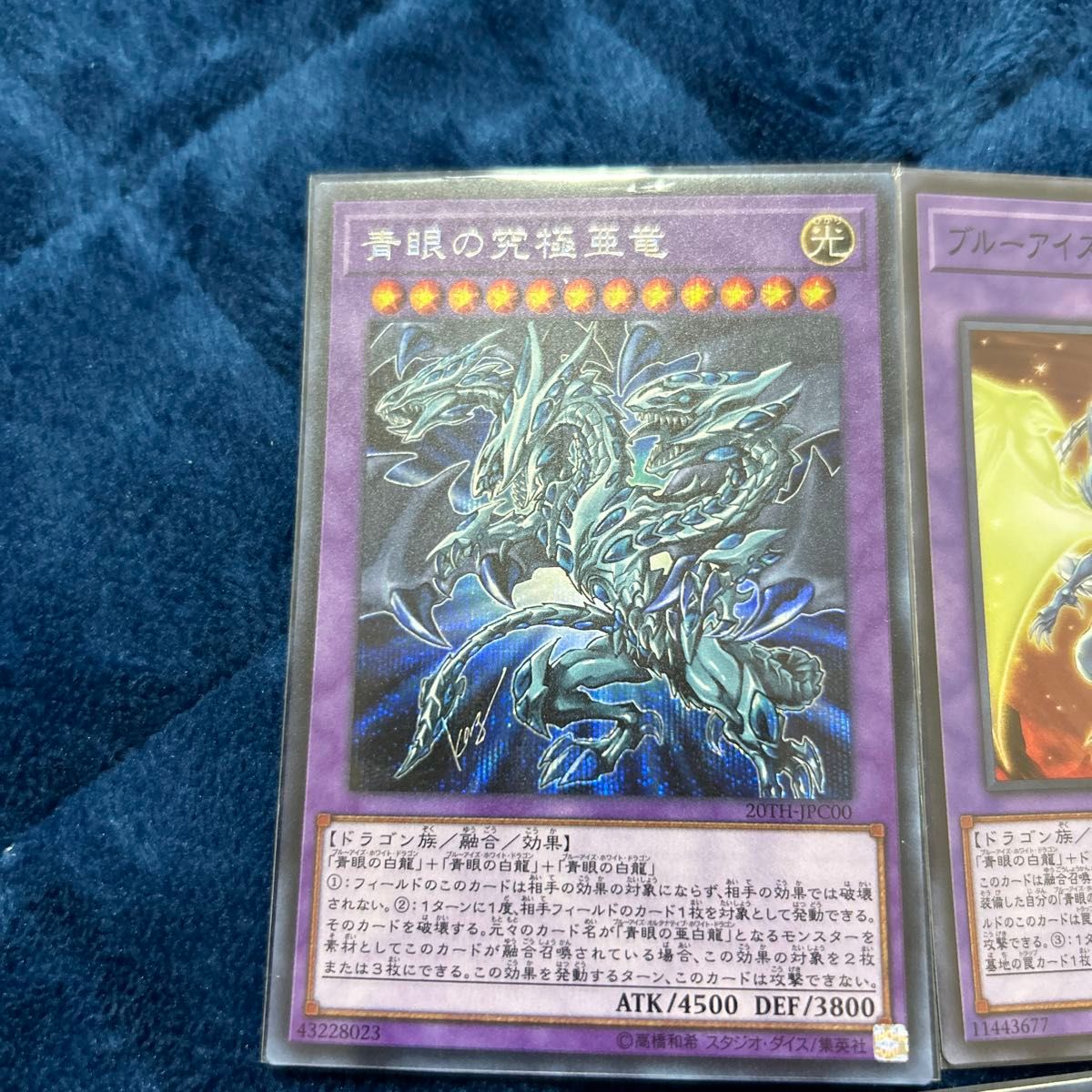 遊戯王 真青眼の究極亜竜/ブルーアイズ・タイラント・ドラゴン 遊戯王 真青眼の究極亜竜/ブルーアイズ・タイラント・ドラゴン