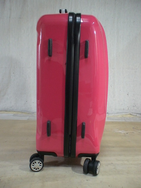 4925 Smart Bird ピンク 軽量 TSAロック付 鍵付 スーツケース キャリケース 旅行用 ビジネストラベルバックの画像4
