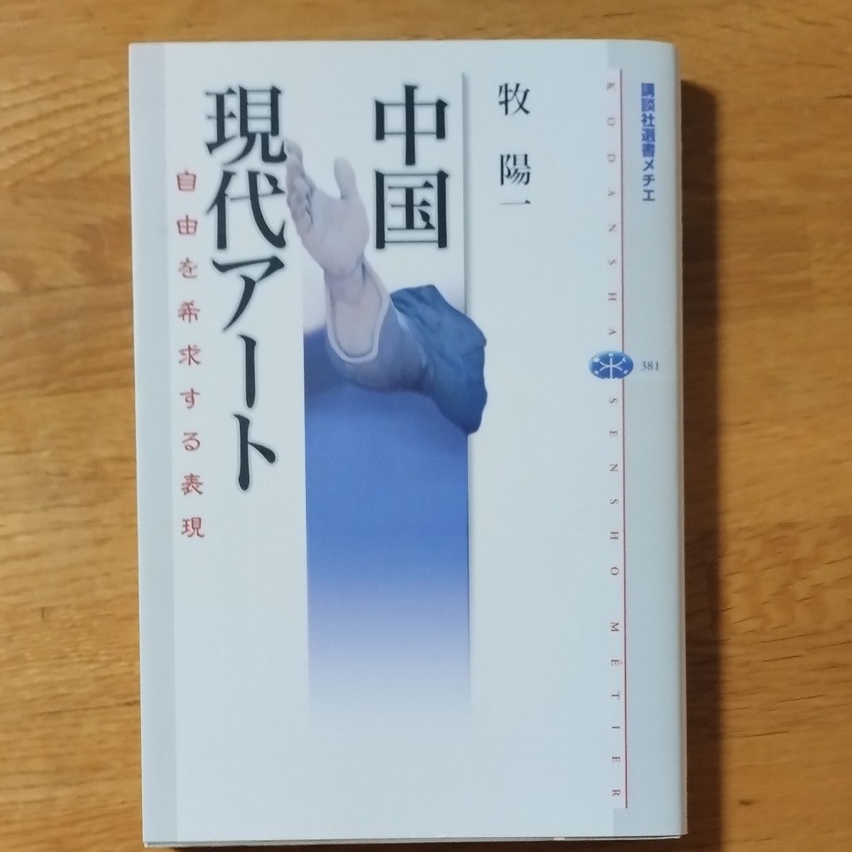 中国現代アート　自由を希求する表現 （講談社選書メチエ　３８１） 牧陽一／著