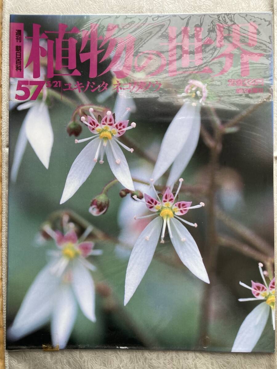 【古本/6冊】週刊朝日百科 植物の世界 54,55,56,57,58,59 ◇ 朝日新聞社の画像5