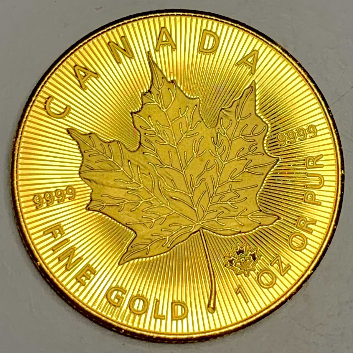 金貨 カナダ 古銭 エリザベス2世　2021年　もみじ　　大型　硬貨　コイン　_画像2