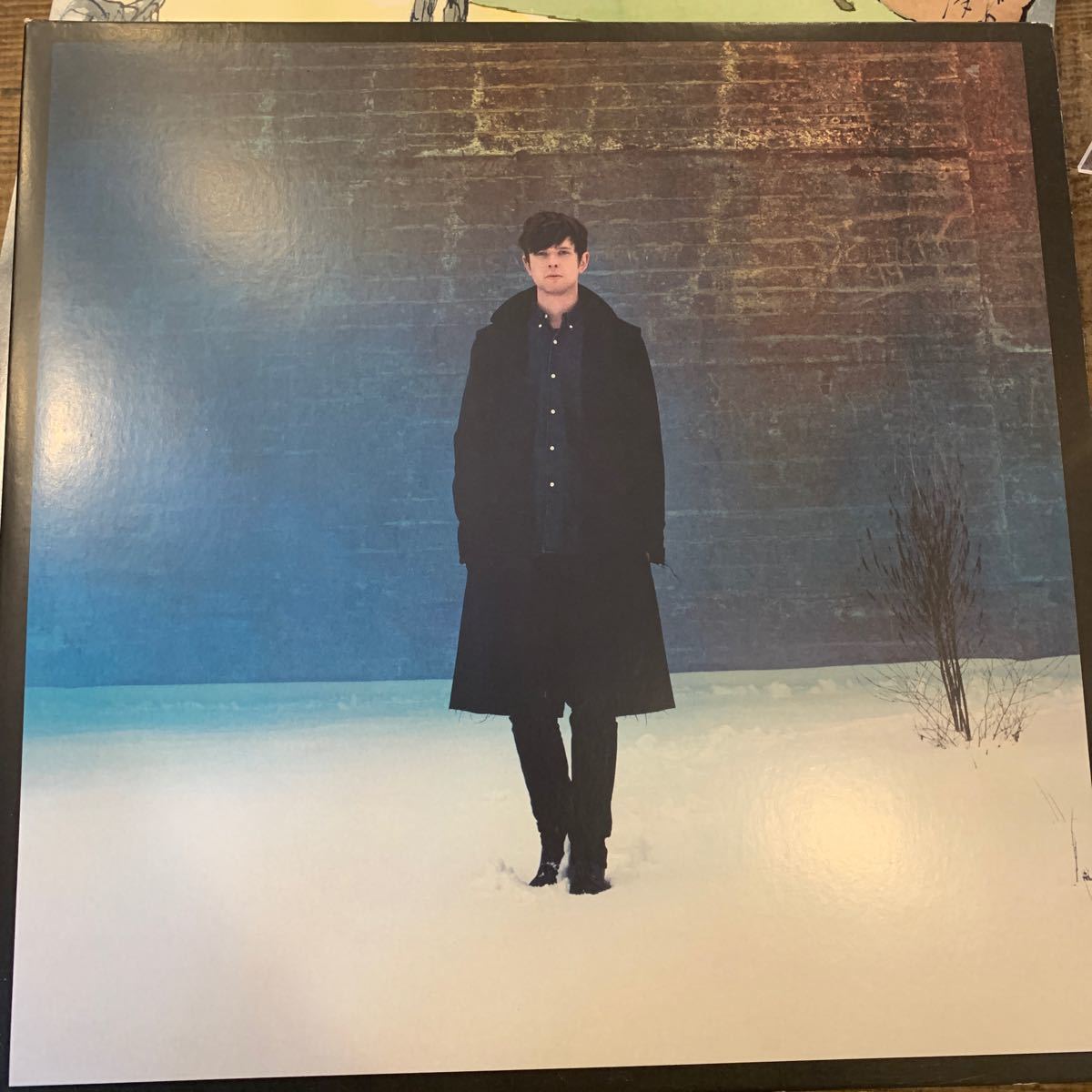 James Blake Overgrown 中古レコード　二枚組_画像1