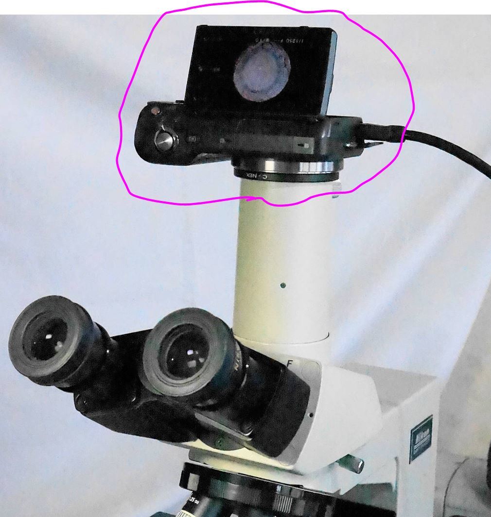ニコン顕微鏡 OPTIPHOT、LABOPHOT、SMZ-2Tなどのニコン旧型三眼鏡筒対応のカメラアダプタ(新品)と、ミラーレスデジカメ(中古)のセット