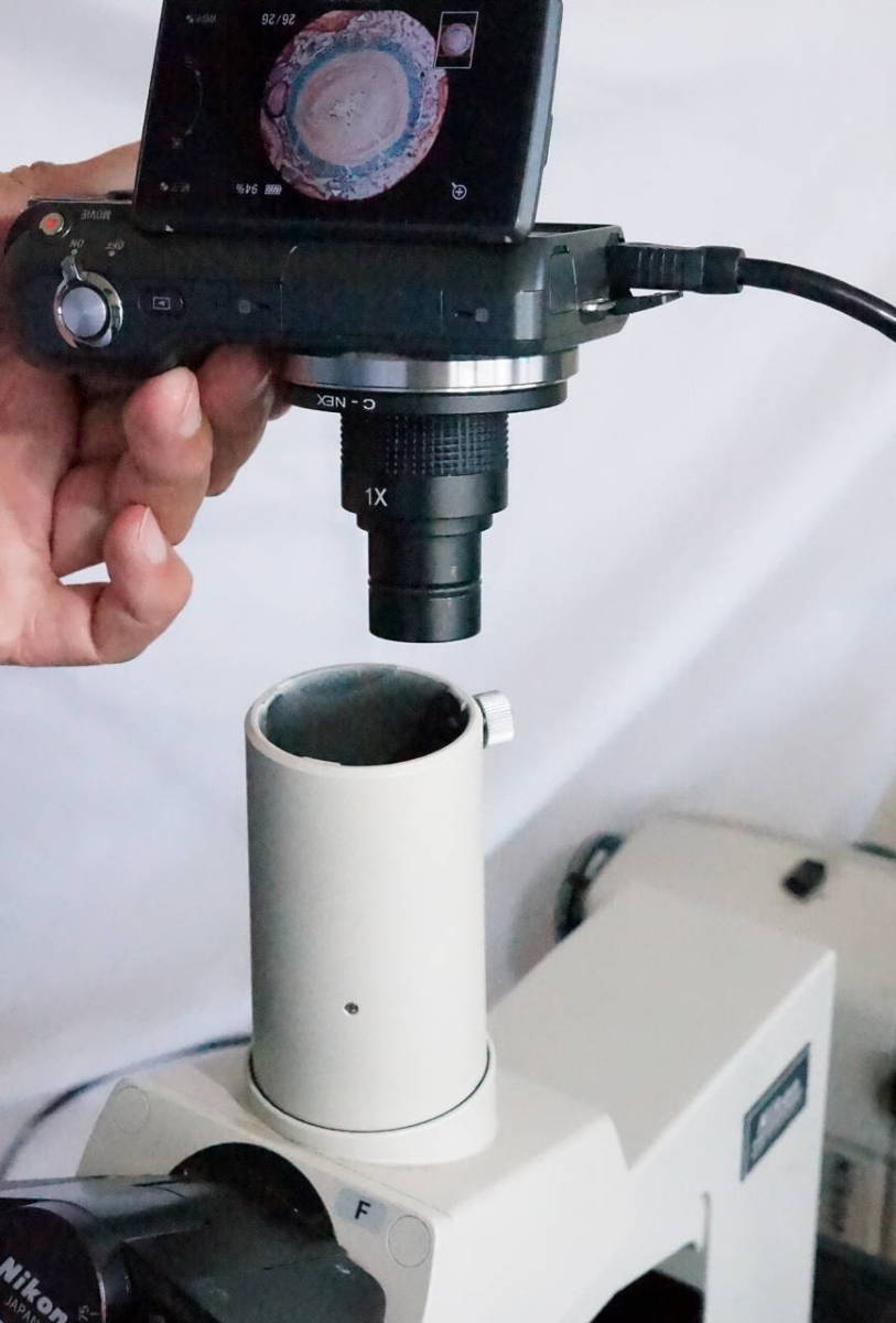 ニコン顕微鏡 OPTIPHOT、LABOPHOT、SMZ-2Tなどのニコン旧型三 ニコン顕微鏡 OPTIPHOT、LABOPHOT、SMZ-2Tなどのニコン旧型三
