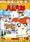 DVD とっとこハム太郎(16)(中古品)_画像1