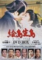 絵島生島 DVD-BOX(中古品)_画像1