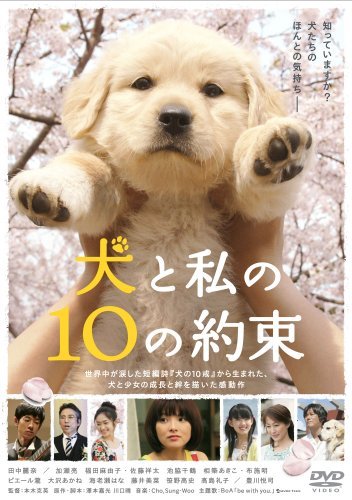 「きな子~見習い警察犬の物語~」DVD発売記念　 犬だワンダフルキャンペーン(中古品)_画像1