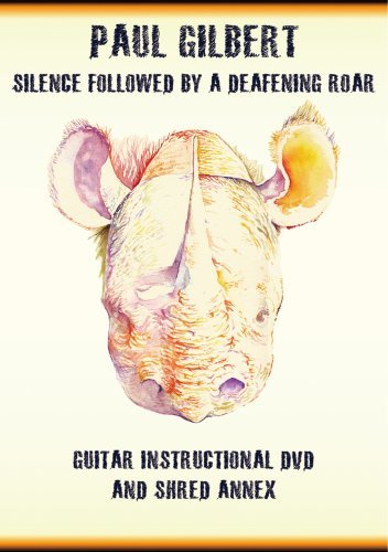 Silence Followed By A Deafening Roar [DVD](中古品)_画像1