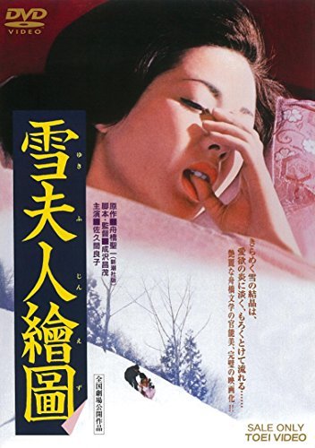 雪夫人絵図 [DVD](中古品)_画像1