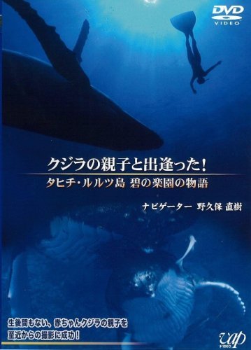 クジラの親子と出逢った!~タヒチ・ルルツ 碧の楽園の物語~ [DVD](中古品)_画像1