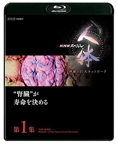 NHKスペシャル 人体 神秘の巨大ネットワーク 第1集 腎臓が寿命を決める [Bl(中古品)_画像1