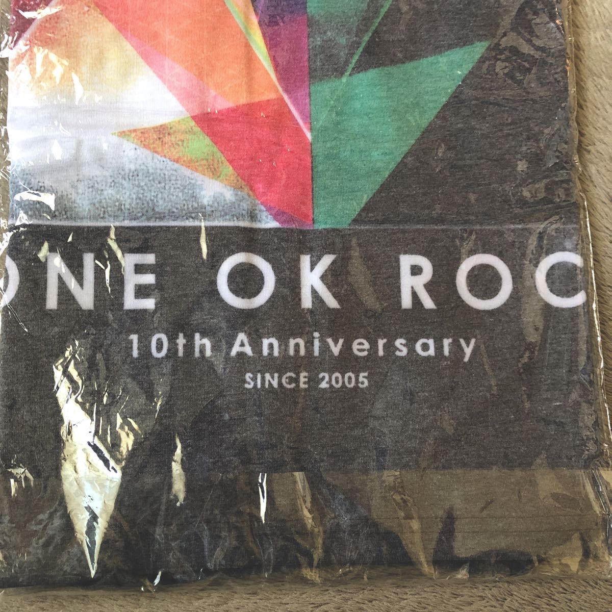 ONE OK ROCK ワンオク　10th Anniversary SINCE 2005 限定Tシャツ　Ｌサイズ