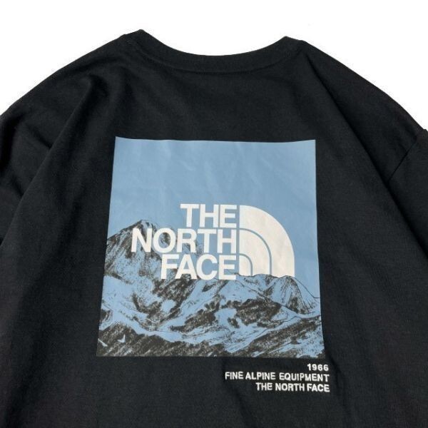 1円～!売切!【正規新品】THE NORTH FACE◆L/S LOGO PLAY 長袖 Tシャツ ロンT US限定 袖ロゴ ヒマラヤ 落描き風 キャンプ(L)黒 180902-20_画像4