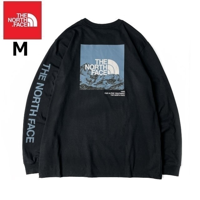 1円～!売切!【正規新品】THE NORTH FACE◆L/S LOGO PLAY 長袖 Tシャツ ロンT US限定 袖ロゴ ヒマラヤ 落描き風 キャンプ(M)黒 180902-20_画像3