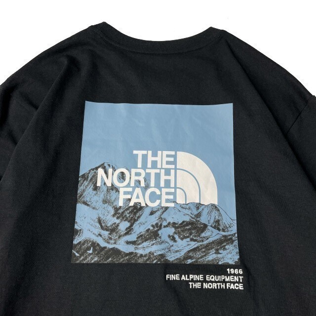 1円～!売切!【正規新品】THE NORTH FACE◆L/S LOGO PLAY 長袖 Tシャツ ロンT US限定 袖ロゴ ヒマラヤ 落描き風 男女兼用(XL)黒 180902-20_画像4