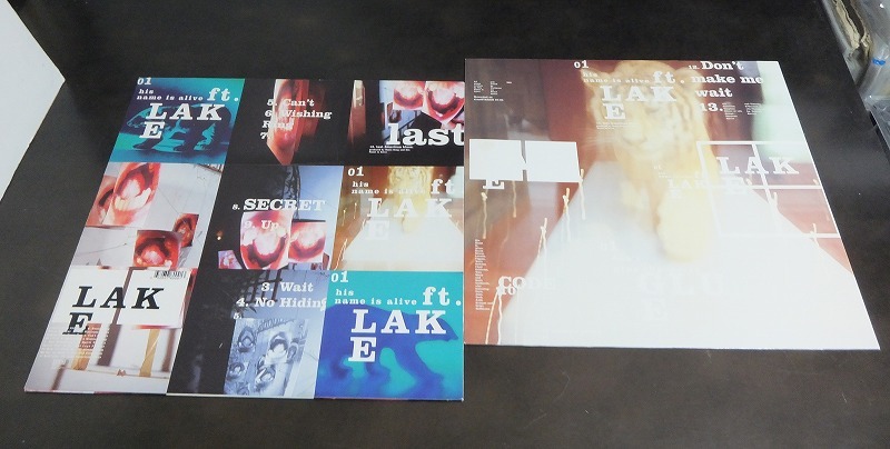 His Name Is Alive / Ft. Lake /EU盤/中古LP!!2876_画像2