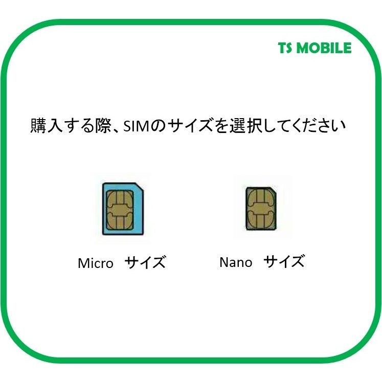 ドコモ 格安SIM 低速 無制限 050番号付き6ヶ月プラン