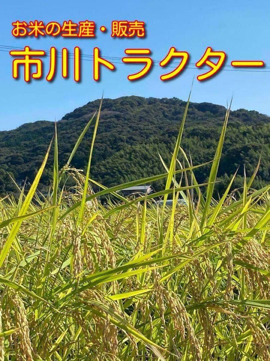 【R5年産 新米 今なら200g増量中！】コシヒカリ(白米 5kg)